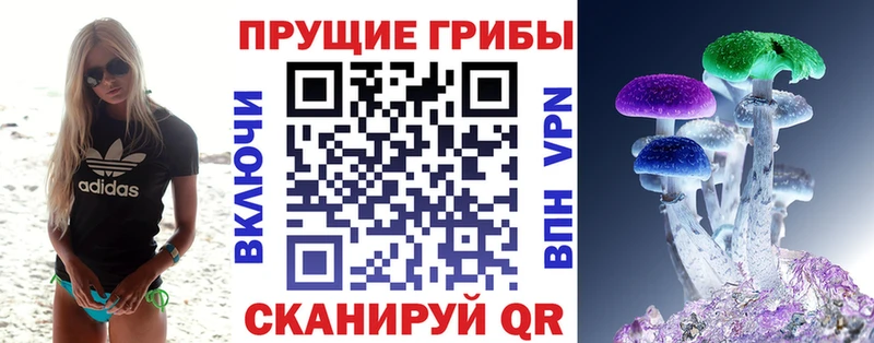 закладка  Котельниково  даркнет состав  Псилоцибиновые грибы MAGIC MUSHROOMS 